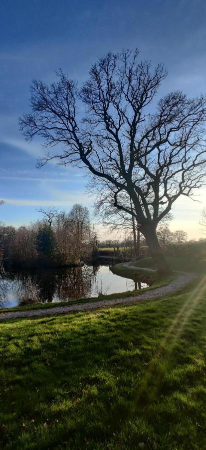 Kingfisher Cabin - Wild Escapes Wrenbury Off Grid Glamping - Ages 12 And Over Baddiley Esterno foto